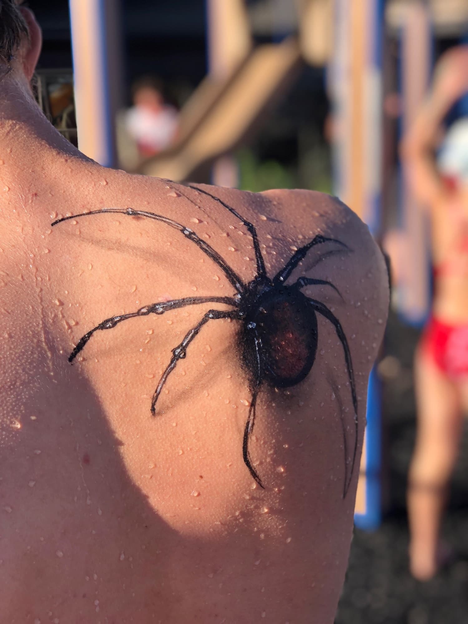 Spider on a shoulder